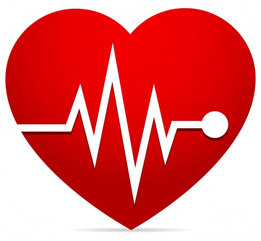 License%3A+CC0+Public+Domain%0A%0ARf+Vectorscom+has+released+this+%E2%80%9CHeart-rate%2C+EKG+%28ecg%29%2C+Heart+Beat%E2%80%9D+image+under+Public+Domain+license.+It+means+that+you+can+use+and+modify+it+for+your+personal+and+commercial+projects.+If+you+intend+to+use+an+image+you+find+here+for+commercial+use%2C+please+be+aware+that+some+photos+do+require+a+model+or+a+property+release.+Pictures+featuring+products+should+be+used+with+care.