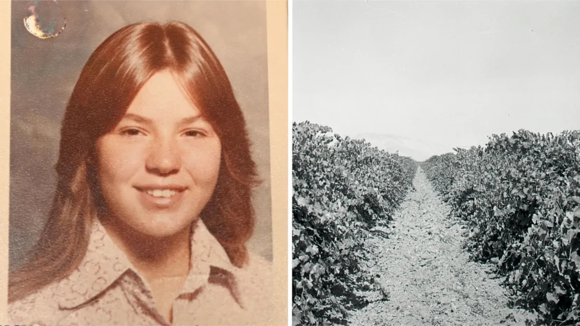 Sheriff’s office investigation into an unidentified body found in an Arvin vineyard in 1978