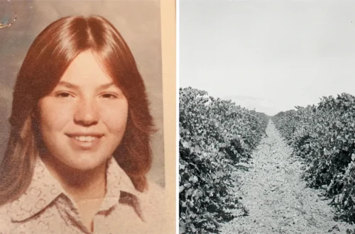 Sheriff’s office investigation into an unidentified body found in an Arvin vineyard in 1978