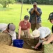 Archaeologists search a grassy battlefield near Fort Ligonier with metal detectors and excavation tools