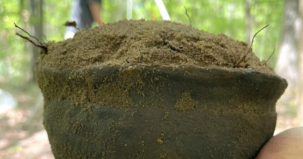 An intact gray pottery vessel discovered during excavation at Mission San Francisco de Potano