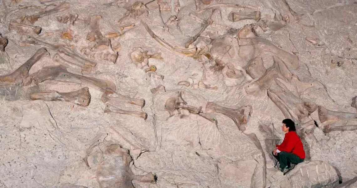 A fossil footprint preserved in a stone capstone