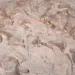 A fossil footprint preserved in a stone capstone