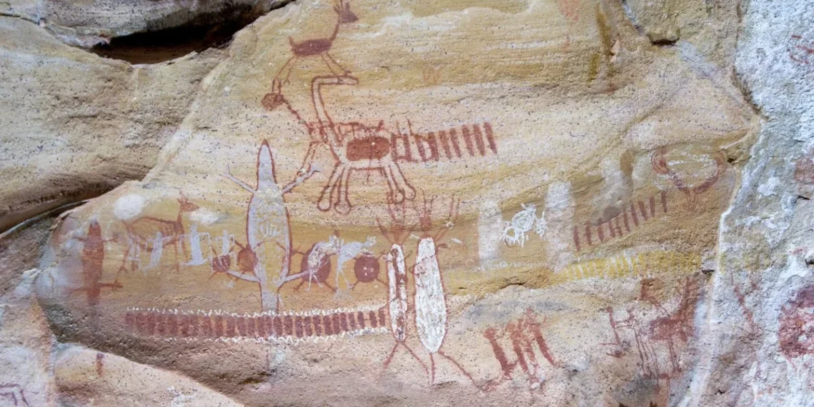 Researchers examining sloth bones with drilled holes from the Santa Elina rock shelter