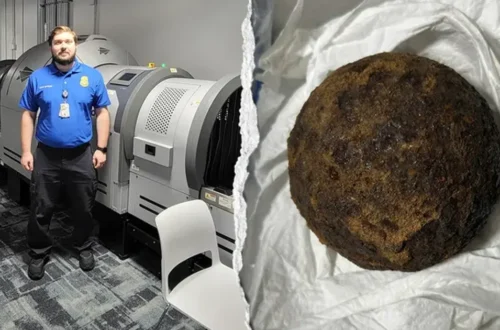 TSA officers at an Alabama airport inspect a checked bag after finding cannonballs on an X-ray