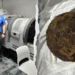 TSA officers at an Alabama airport inspect a checked bag after finding cannonballs on an X-ray
